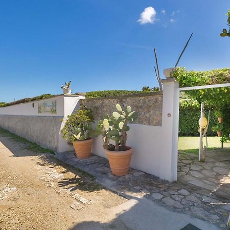 סן פוקה Residence Punta Cassano - In Piscina Sulla Spiaggia Di Sabbia מראה חיצוני תמונה
